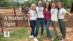A Mother's Fight: From PANDAS to Purpose